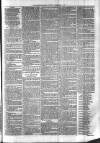 Sydenham Times Tuesday 01 February 1876 Page 7