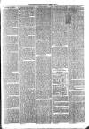 Sydenham Times Tuesday 04 April 1876 Page 3