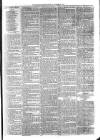 Sydenham Times Tuesday 02 January 1877 Page 3