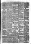 Sydenham Times Tuesday 30 January 1877 Page 5