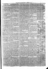 Sydenham Times Tuesday 30 January 1877 Page 7