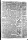 Sydenham Times Tuesday 20 February 1877 Page 3