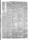 Sydenham Times Tuesday 13 March 1877 Page 3