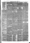 Sydenham Times Tuesday 27 March 1877 Page 3