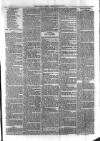 Sydenham Times Tuesday 03 July 1877 Page 3