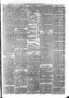 Sydenham Times Tuesday 03 July 1877 Page 7