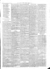 Sydenham Times Tuesday 15 January 1878 Page 7