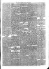 Sydenham Times Tuesday 09 April 1878 Page 5