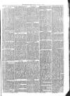 Sydenham Times Tuesday 01 October 1878 Page 3