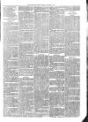 Sydenham Times Tuesday 01 October 1878 Page 7