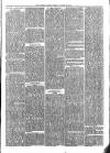 Sydenham Times Tuesday 22 October 1878 Page 3