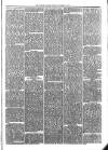 Sydenham Times Tuesday 29 October 1878 Page 3