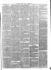 Sydenham Times Tuesday 10 December 1878 Page 7