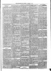 Sydenham Times Tuesday 17 December 1878 Page 2
