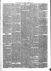 Sydenham Times Tuesday 24 December 1878 Page 5