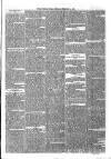 Sydenham Times Tuesday 11 February 1879 Page 5