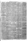 Sydenham Times Tuesday 25 March 1879 Page 7