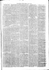 Sydenham Times Tuesday 15 April 1879 Page 3