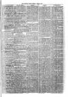 Sydenham Times Tuesday 15 April 1879 Page 7