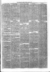 Sydenham Times Tuesday 13 May 1879 Page 7