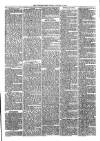 Sydenham Times Tuesday 13 January 1880 Page 3