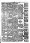 Sydenham Times Tuesday 13 January 1880 Page 5