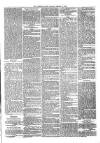 Sydenham Times Tuesday 27 January 1880 Page 5
