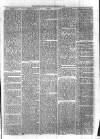 Sydenham Times Tuesday 17 February 1880 Page 3