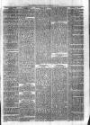 Sydenham Times Tuesday 17 February 1880 Page 7