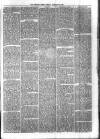 Sydenham Times Tuesday 24 February 1880 Page 3