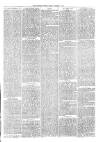 Sydenham Times Tuesday 02 March 1880 Page 7