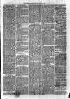 Sydenham Times Tuesday 23 March 1880 Page 7