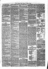Sydenham Times Tuesday 17 August 1880 Page 5