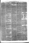 Sydenham Times Tuesday 11 January 1881 Page 5