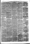 Sydenham Times Tuesday 11 January 1881 Page 7