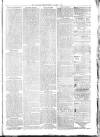 Sydenham Times Tuesday 03 January 1882 Page 3