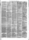 Sydenham Times Tuesday 24 October 1882 Page 5