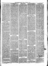 Sydenham Times Tuesday 24 October 1882 Page 7