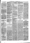 Sydenham Times Tuesday 16 January 1883 Page 5