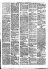 Sydenham Times Tuesday 03 April 1883 Page 3