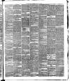 Croydon Observer Friday 03 March 1871 Page 3