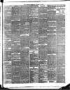 Croydon Observer Friday 12 January 1877 Page 3