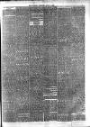 Croydon Observer Thursday 01 April 1880 Page 3