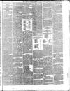 Croydon Observer Thursday 21 April 1881 Page 3