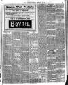 Croydon Observer Friday 08 February 1901 Page 3