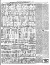 Croydon Observer Friday 02 September 1904 Page 7