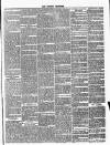 Romsey Register and General News Gazette Thursday 01 April 1869 Page 3