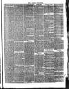 Romsey Register and General News Gazette Thursday 12 March 1874 Page 3