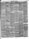 Romsey Register and General News Gazette Thursday 08 January 1880 Page 3