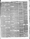 Romsey Register and General News Gazette Thursday 08 July 1880 Page 3